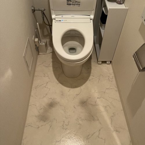 Before画像