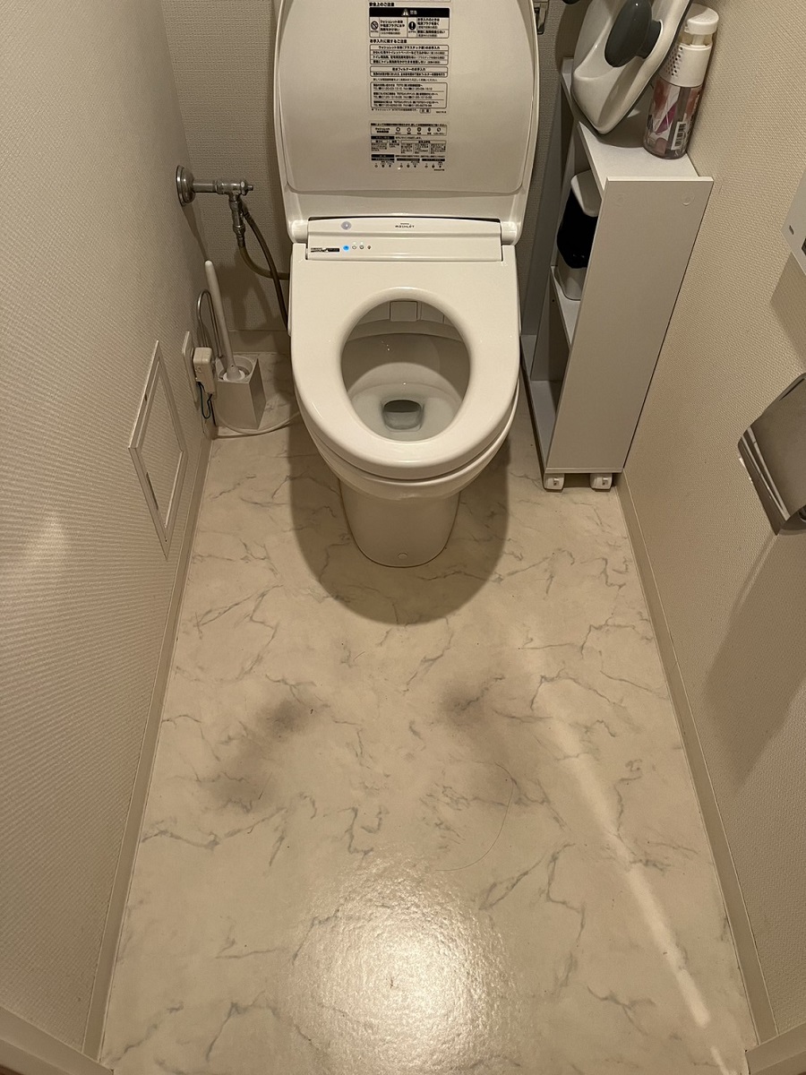 Before画像