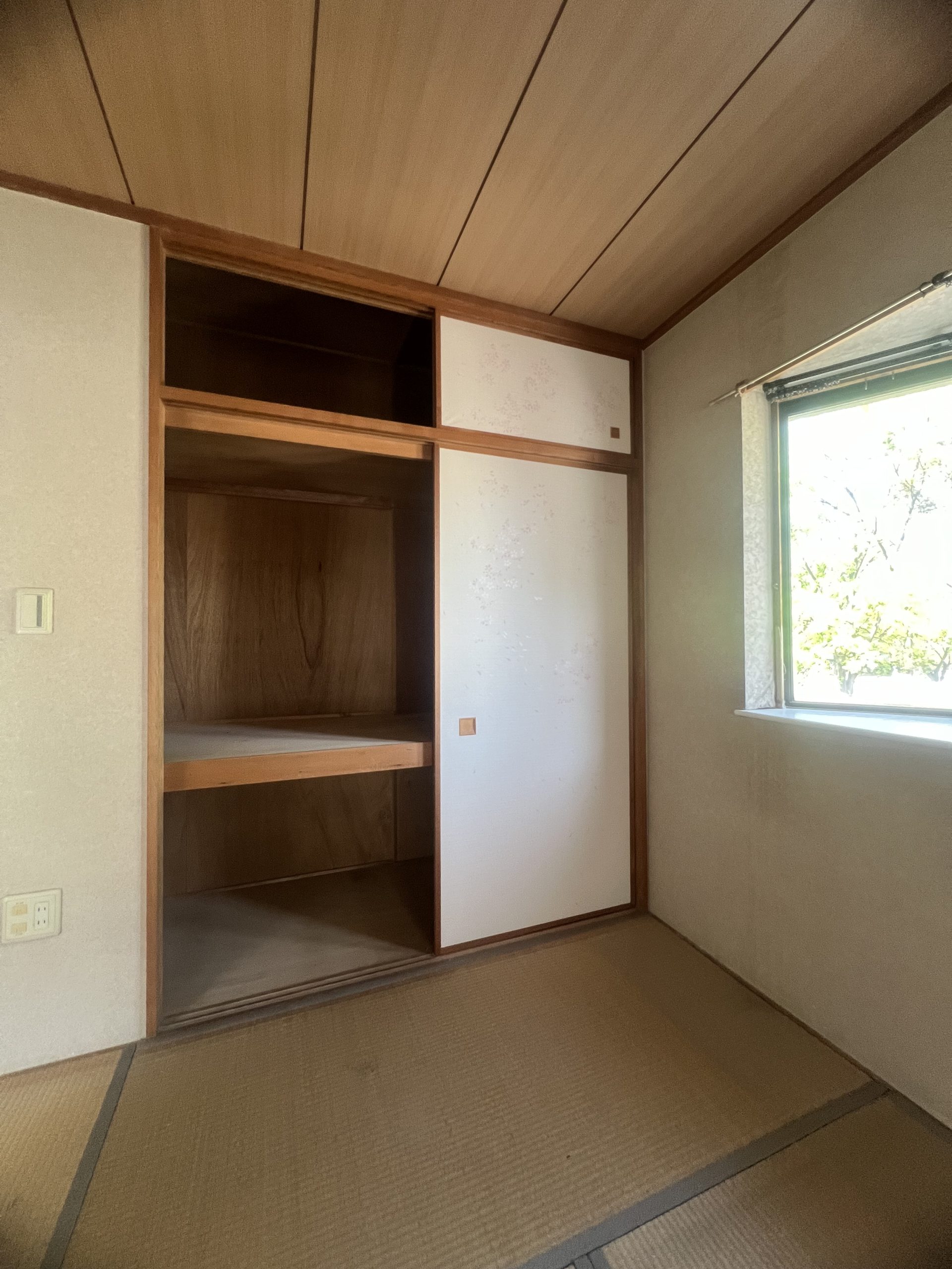 Before画像